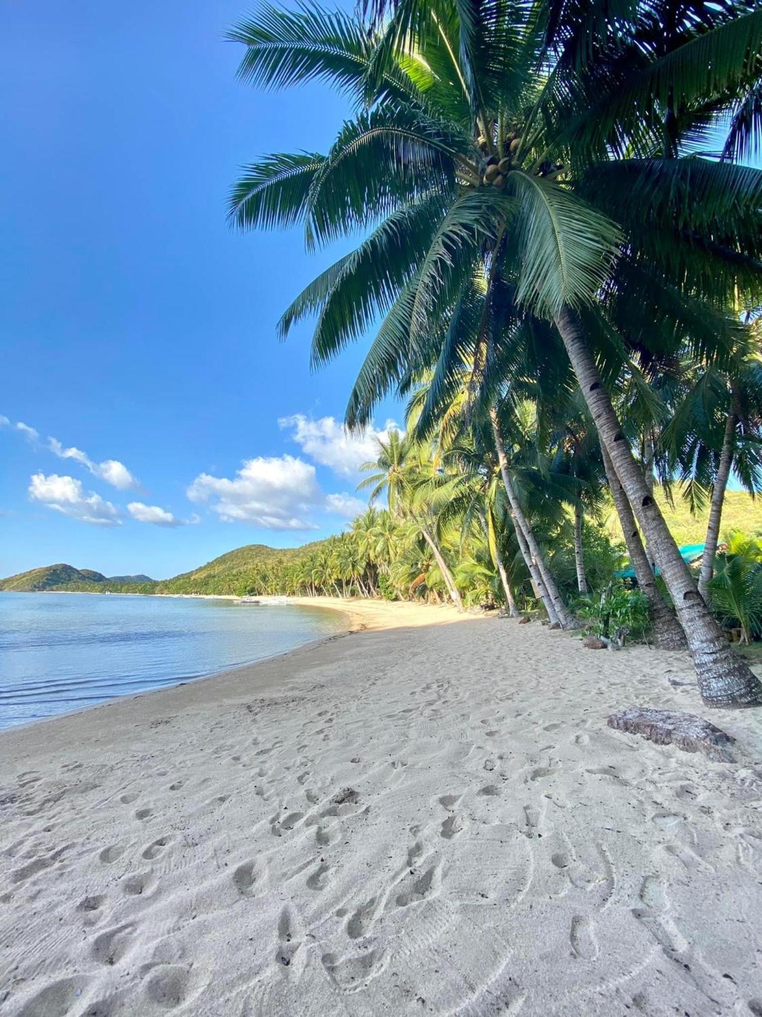 Ocamocam Beach Nature Resort New Busuanga Kültér fotó