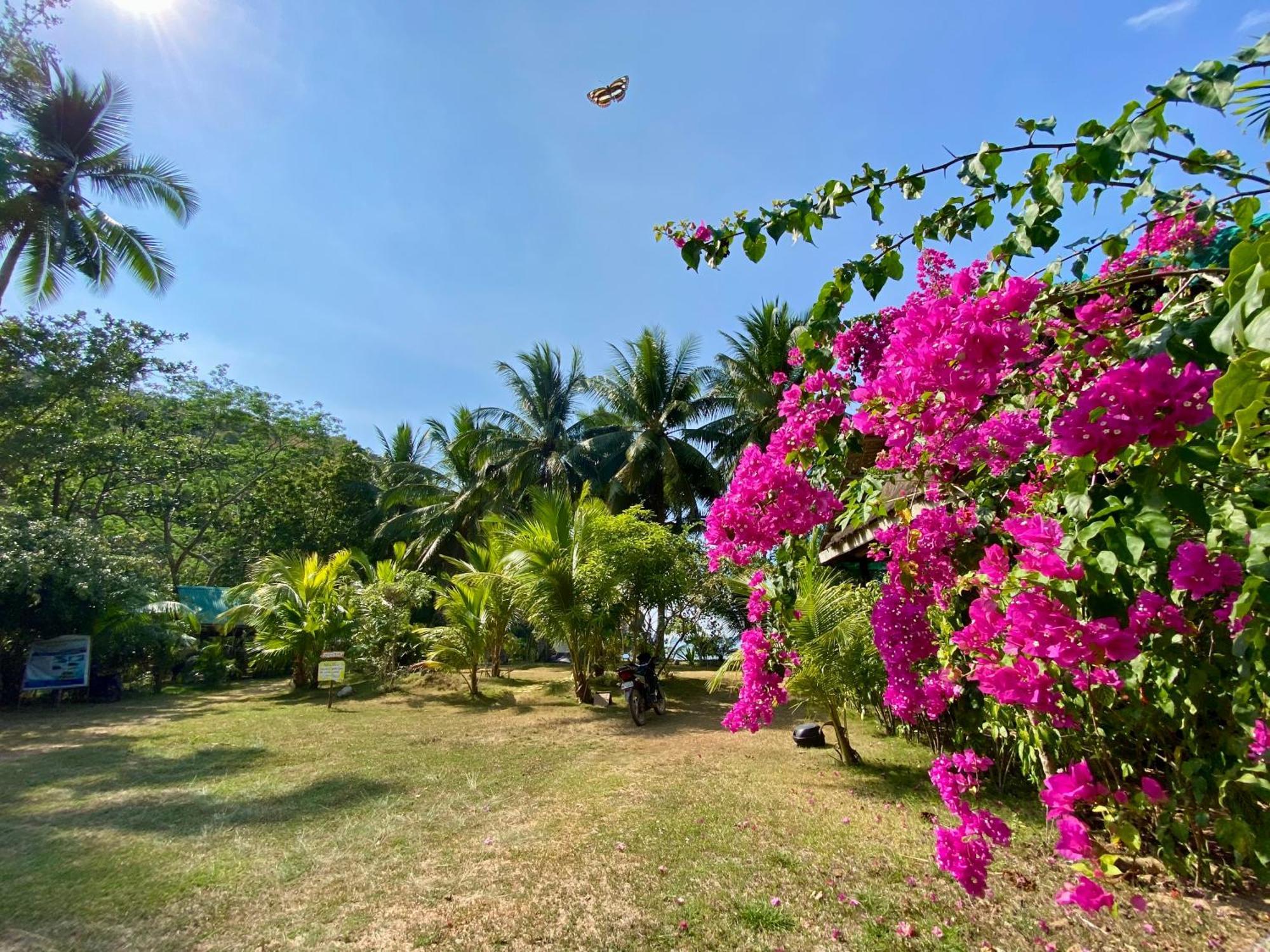 Ocamocam Beach Nature Resort New Busuanga Kültér fotó