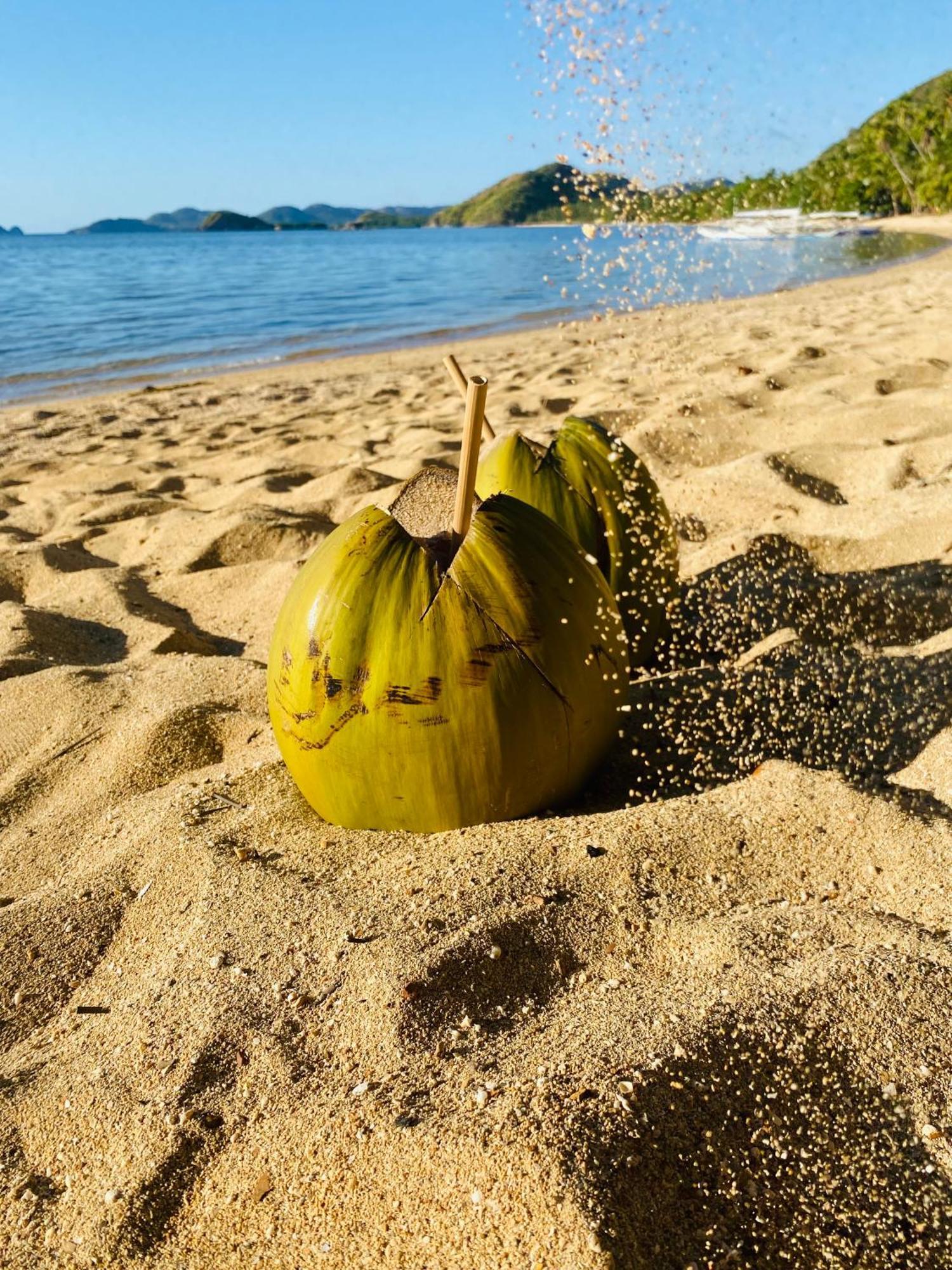 Ocamocam Beach Nature Resort New Busuanga Kültér fotó