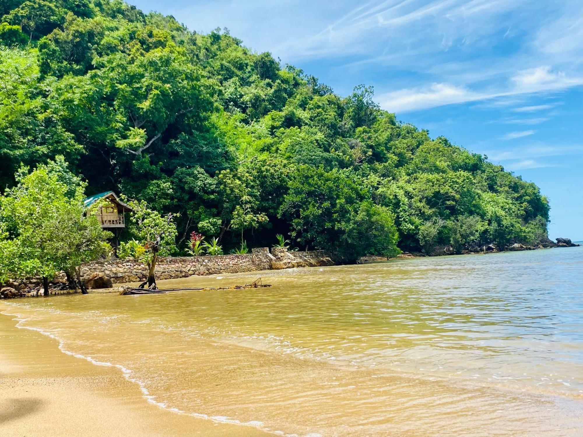 Ocamocam Beach Nature Resort New Busuanga Kültér fotó