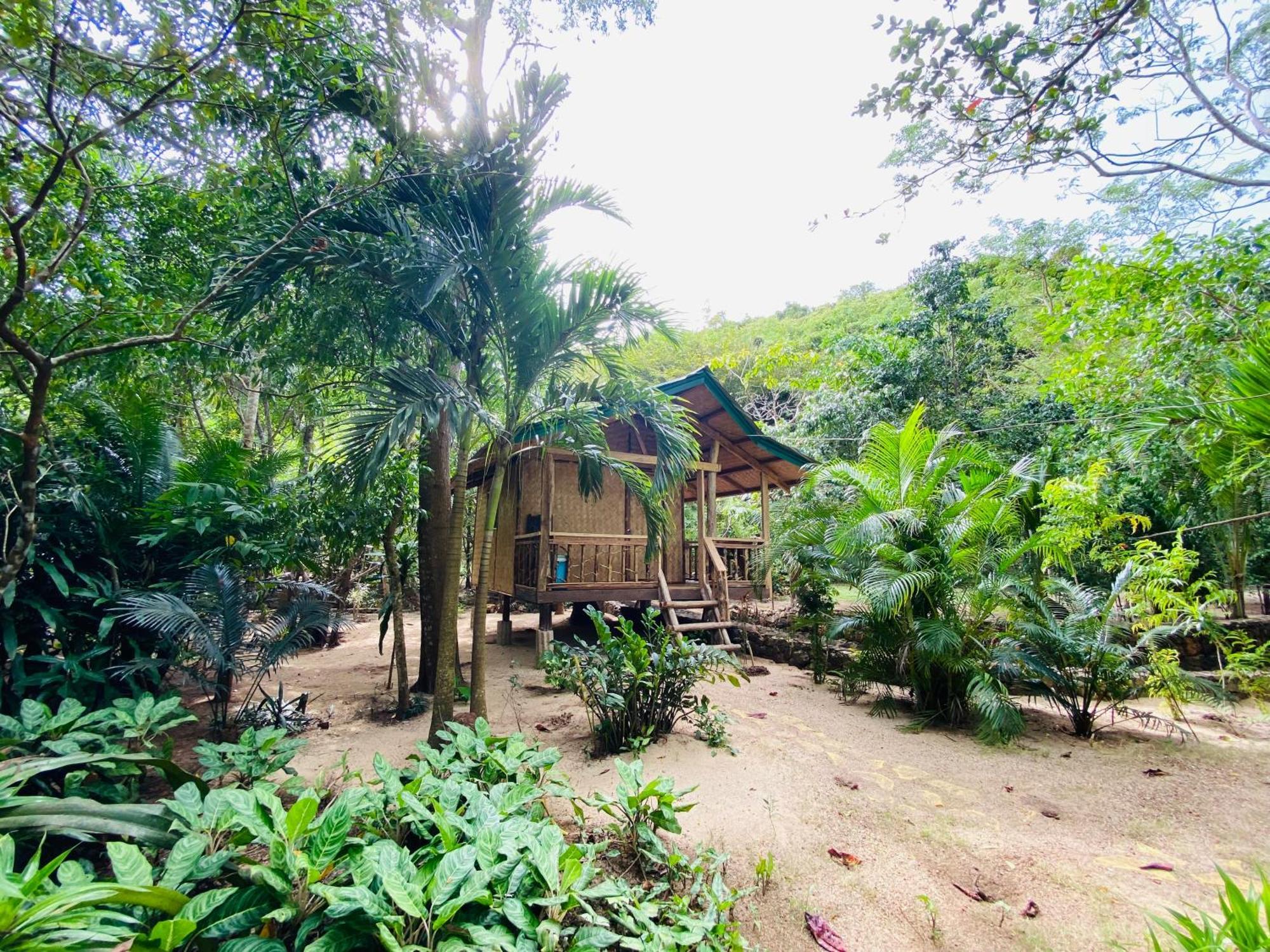 Ocamocam Beach Nature Resort New Busuanga Kültér fotó